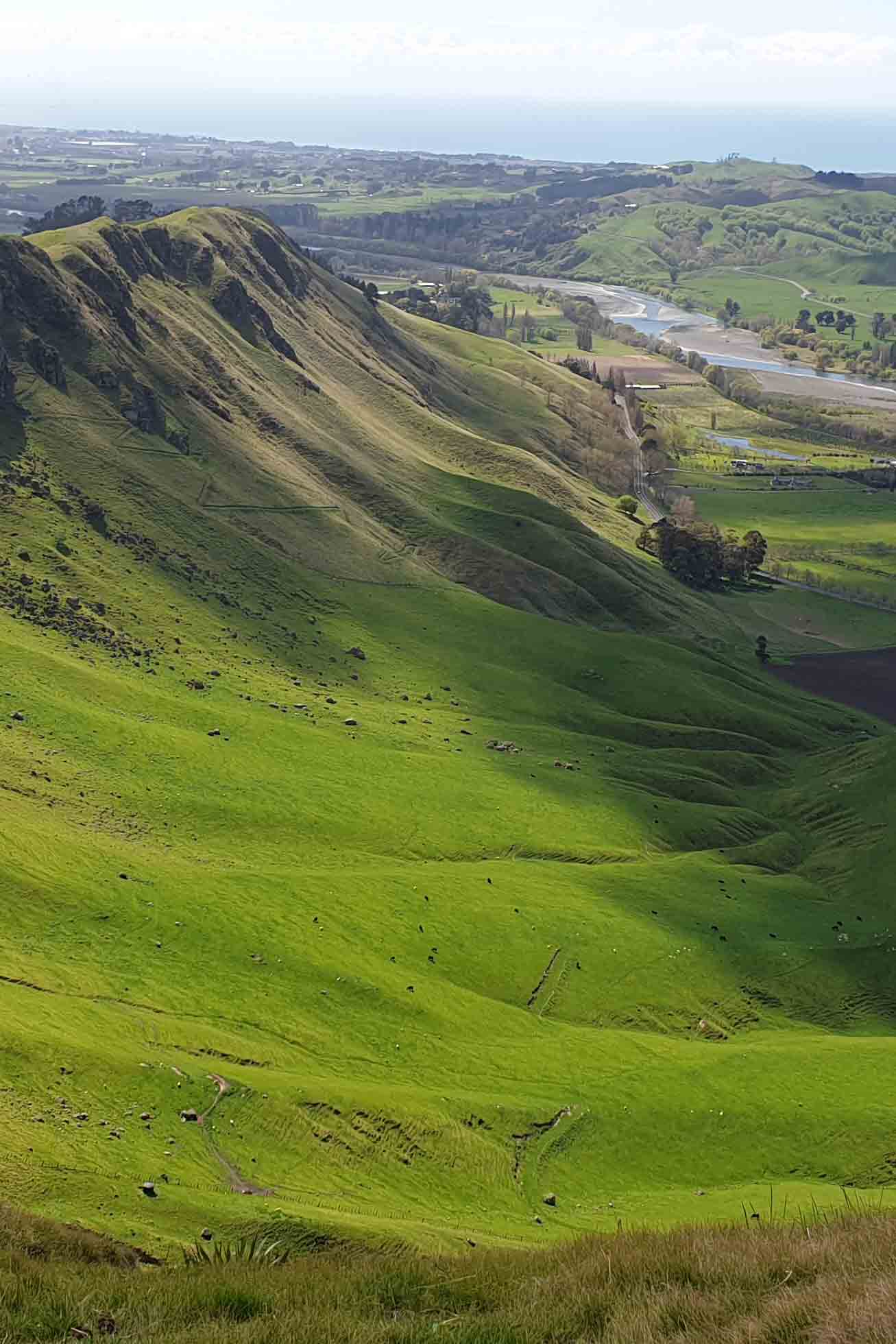 Te Mata Trail